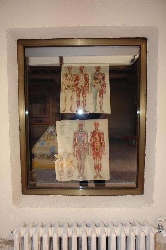 Anatomías con piezas desmontables de hombre y mujer