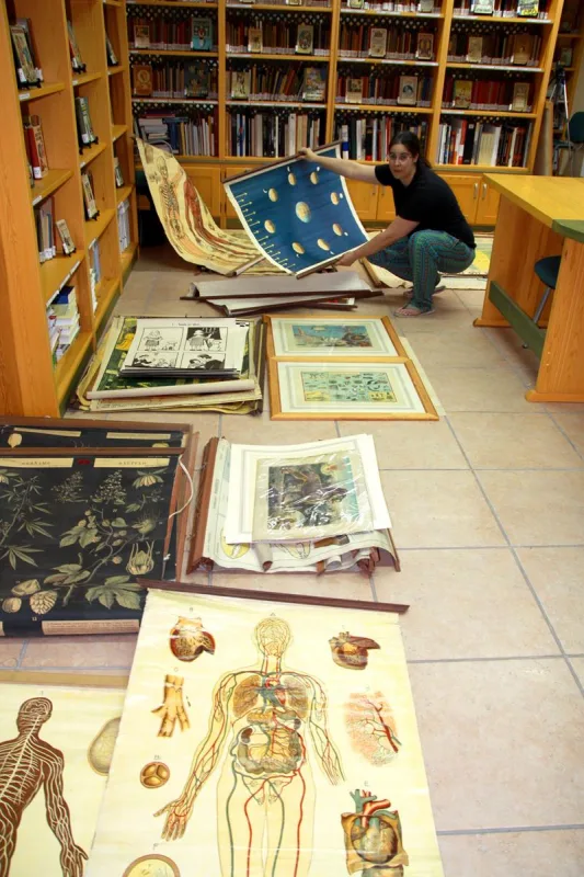 Colección de láminas de colgar del Ceince