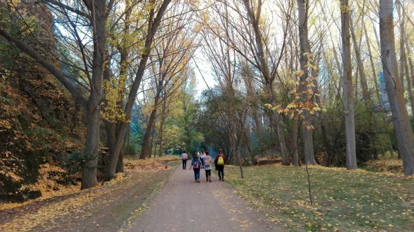 Paseo del río en otoño
